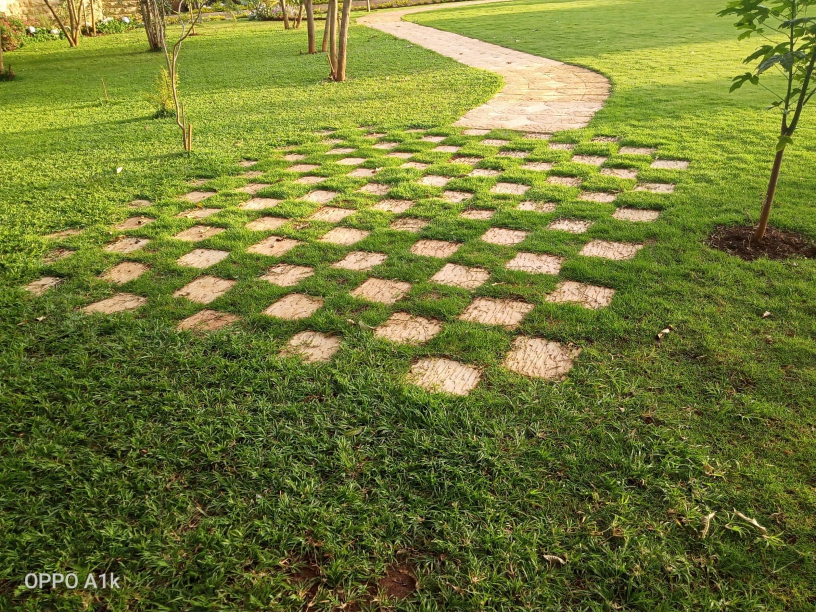 Beautiful landscaped garden